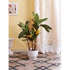 Fourwalls Artificial Banana Floor Plant (20 cm x 20 cm x 90 cm, Green)
