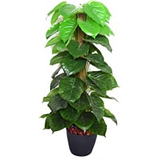 Fourwalls Artificial Miniature PVC Silk Floor Plant with Big Leaves and Without Pot (155 cm Tall, Green)