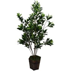 Fourwalls Artificial Green Croton Floor Plant Without Pot (150 cm Tall, Multicolor, 10 Branches)