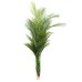 Fourwalls Artificial Areca Palm Plant Without Pot for Home and Office DÃ©cor (140 cm, 5 Branches, Green)