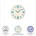 Casio Round Resin Analog Wall Clock (30.8 cmx30.8 cmx4.9 cm, White, WCL54)