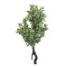 Fourwalls Artificial Veraigated Ficus Plant Without Pot for Home and Office DÃ©cor (120 cm, Green/White)