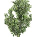 Fourwalls Artificial Veraigated Ficus Plant Without Pot for Home and Office DÃ©cor (120 cm, Green/White)