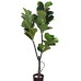 Fourwalls Decorative Artificial Fiddle Leaf Plant Without Pot (150 cm, Green)